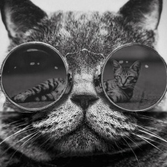 Сергей Матарас, 25.07