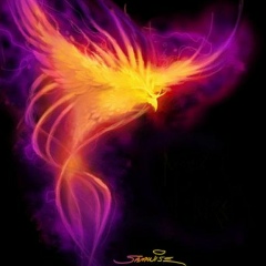 Сергей Подгорный, 24.08, Санкт-Петербург