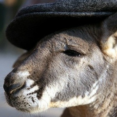 Денис Озорной, 16.12, Санкт-Петербург