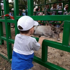 Мария Кауц, 08.03.1988, Омск
