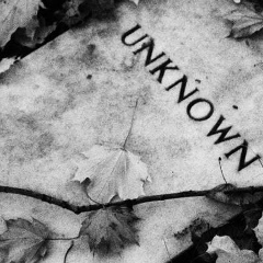 Евгений Звягин, Липецк