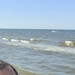 Илья Потелов, Санкт-Петербург