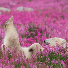 Ольга Томашевская, 21.04, Москва