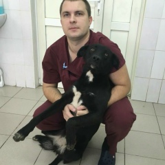 Андрюс Моцкевичус, 01.09.1990, Москва