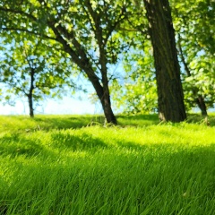 Анастасия Мельник, Кишинев