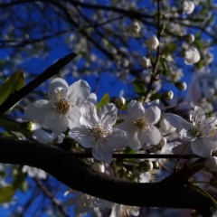 Екатерина Иванова, 28.06, Москва
