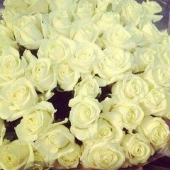 Мая Курбанова, 18.11, Ашхабад