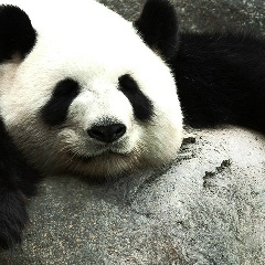 Костя Устинович, 01.08.1990, Минск