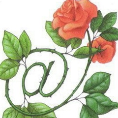 Роза Лу, 20.05, Ижевск