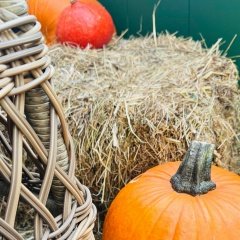 Оленька Иванова, Москва