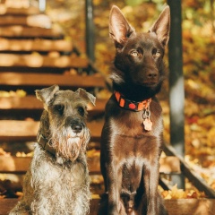 Елена Партанен, 20.11, Санкт-Петербург