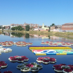 Инна Сумченко, 01.01.1901, Харьков