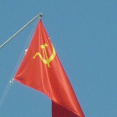 Александр Цибульский