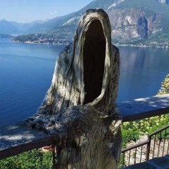 Герман Тимофеев, Сыктывкар