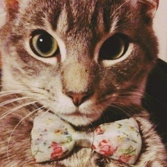 Илья Даниилович, 27.01, Los Angeles