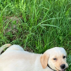 Ольга *********, Куровское