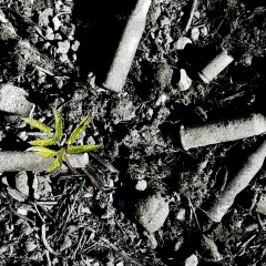 Дмитрий Румянцев, 24.01.1986, Санкт-Петербург