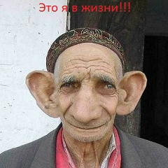 Адам Хамхоев, Назрань