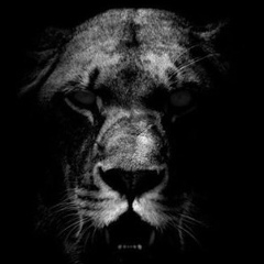 Ilshat Батыров, 03.08.1989, Санкт-Петербург