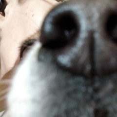 Екатерина Ландау, Москва