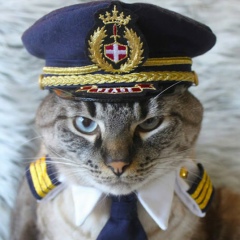 Анна Невская, 14.07, Пермь