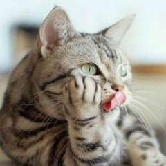 Ольга Зимина, Шумерля (деревня)