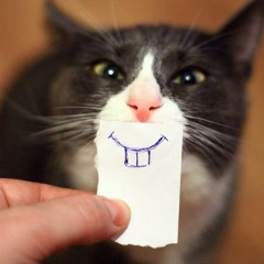 Главный Бастық, 10.01.2000