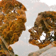 Александр Евдокимов, 27.06.1986, Санкт-Петербург