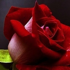 Жасуланова Жанна, 19.12.1986, Атырау