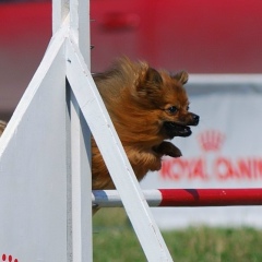 Евгения Проскурякова, 20.11.1985, Псков