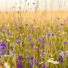 Олеся Сухова, 10.02