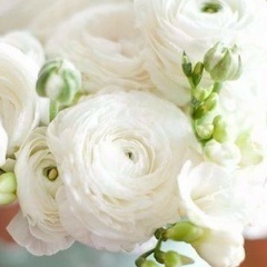 Юлия Мацук, 16.08, Полтава