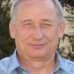 Василий Щур, Омск