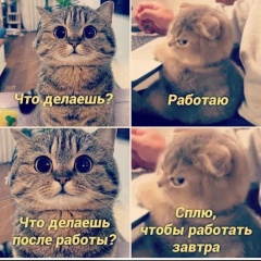 Набу Абу, 01.09.2000, Беэр Шева