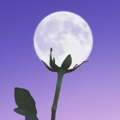 Светлана Приходько, 03.03.1980