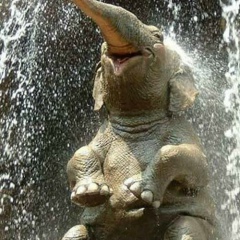 Марина Гаппоева, 16.08.1984, Черкесск