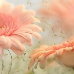 Алена Миргородская, 02.01, Новосибирск