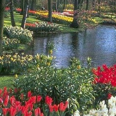 Азат Орукбаев, 17.04.1986, Ankara