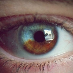 Vahe Mirzoyan, Ереван