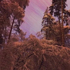 Сергей Симов, 08.10, Балашиха