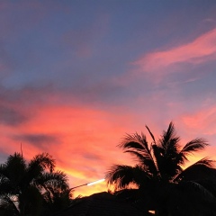 Алена Томилина, 19.04, Москва