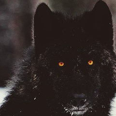 Ибрагим Алиев, 12.04.1994, Астрахань