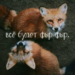Алена Головатинская, Алматы