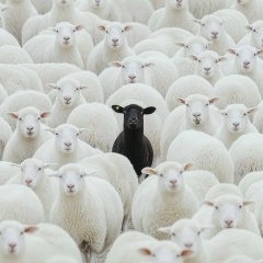 Сержан Назарбаев, 25.09.1998