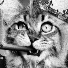 Алексей Лунин, 07.11.1981, Санкт-Петербург