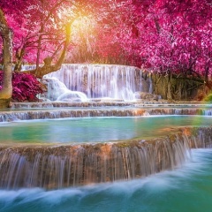 Ксюша Сок, Санкт-Петербург