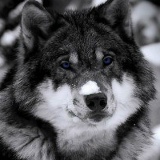 Кайрат Усенбаев, 05.03.1977, Кандыагаш