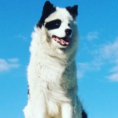 Ирина Романова, 05.03, Новосибирск