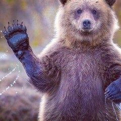 Artashes Asatryan, 09.03.1989