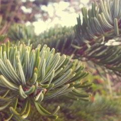 Оля Аспирантка, Москва